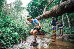 BIB: 
                            <button type="button" onclick="openModal(25368648)" class="btn btn-primary btn-sm float-right btn-popup" data-toggle="modal" data-target=".modal-high-quality">
                        <i class="fas fa-shopping-cart"></i> Add to Cart
                    </button>
                                            <button type="button" onclick="isThisMe(25368648, true)" class="btn btn-success btn-sm float-right btn-popup btn-isme hidden" data-toggle="tooltip" data-placement="bottom" title="นี่คือรูปของคุณใช่ไหม คลิกที่นี่เพื่อเอาเข้าอัลบั้ม">
                        <i class="fas fa-plus"></i> Add to album
                    </button>
                    <button type="button" onclick="isThisMe(25368648, false)" class="btn btn-warning btn-sm float-right btn-popup btn-isnotme hidden">
                        <i class="fas fa-ban"></i> Remove from album
                    </button>